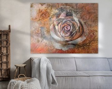 voorbijgaande rozen van Claudia Gründler