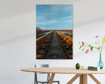 Moerputten - Eisenbahnbrücke von Maikel Claassen Fotografie