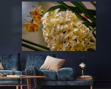 Blume