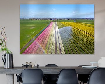 Aerial photo of bulb fields in the Bulb Region in the Netherlands by Eye on You