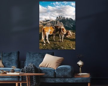Drie koeien grazend in de wei in de Dolomieten van Michiel Dros