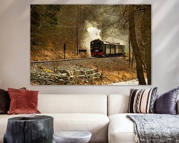 Fichtelbergbahn Erzgebirge