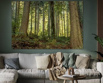 Nature et paysage dans l'Erzgebirge