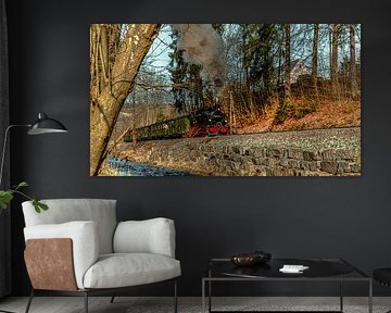 Natuur en landschap in het Erzgebergte