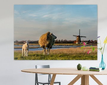 Moeder met lammetje Molen het Noorden Texel van Texel360Fotografie Richard Heerschap