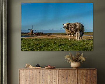 Mutter mit Lamm Mill the North Texel von Texel360Fotografie Richard Heerschap