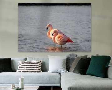 Flamingo von Merijn Loch