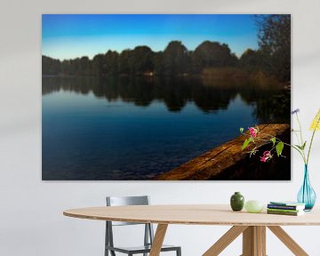 De schoonheid van schurft van Photoart-Naegele