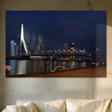 Le pont Erasmus à Rotterdam