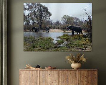 Olifanten in Botswana van Mario van Loon
