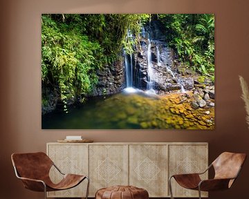 Waterfall surrounded by jungle (tropical rainforest) of Guatemala by Michiel Dros