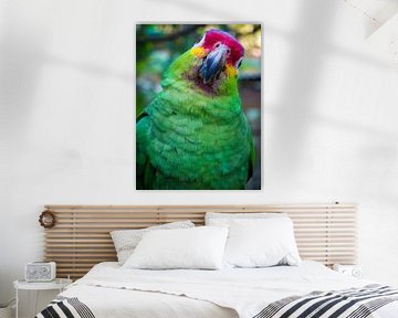 Portrait of a green parrot (parrot) by Michiel Dros