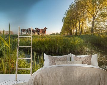 Groep koeien in het weiland bij de sloot van Moetwil en van Dijk - Fotografie