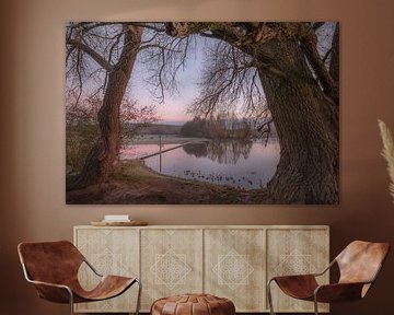 Natuurgebied Blauwe Kamer van Moetwil en van Dijk - Fotografie