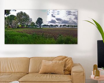 Four courtyard panorama 1