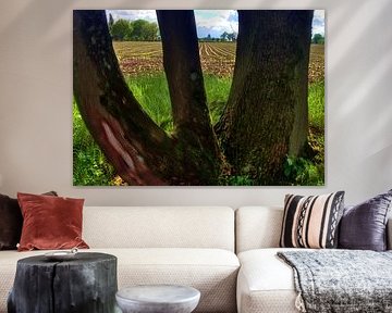 tree view
