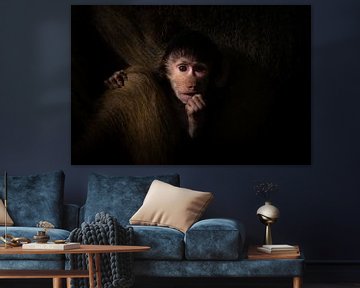 Me and my monkey van Niels Barto