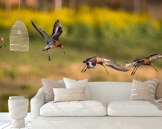 Aperçu de la chambre