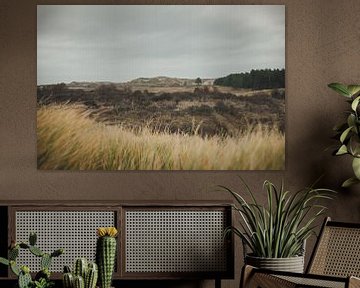 Paysage des dunes de la cheminée ouest sur Nancy van Verseveld