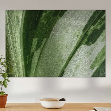 Abstract groen blad