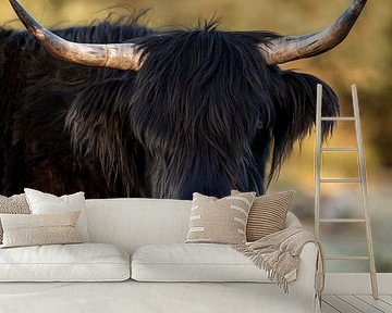 Schöner schwarzer Highlander von gea strucks