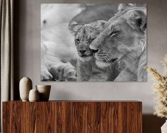 Aperçu de la chambre