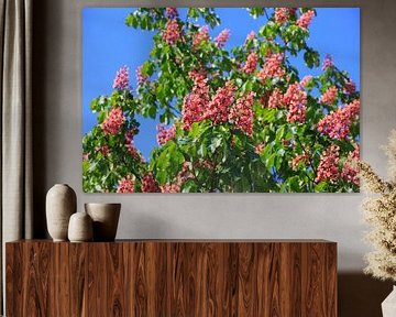 Chestnut tree