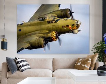 B17 sally b van Stefano Scoop