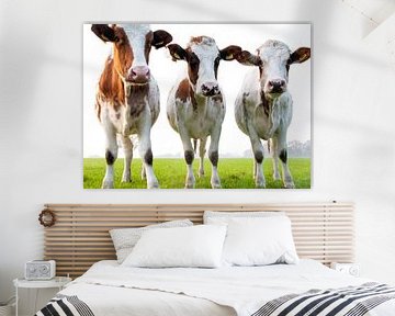 3 belles vaches dans la prairie sur Bianca ter Riet