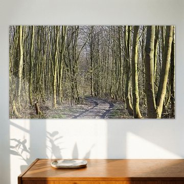 Wagon track between the trees