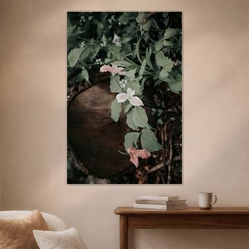 Verträumte Blumen in Blüte