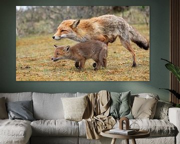 Baby fox runs with his mother by Patrick van Bakkum