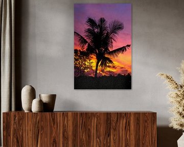 Palmboom bij zonsondergang van road to aloha