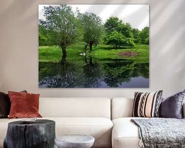 Réflexion sur le ruisseau