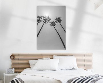 Palmbomen in de zon | Monochroom van Melanie Viola