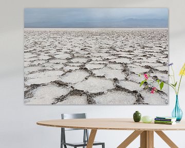 Abstract zout landschap in de Danakil woestijn | Ethiopië van Photolovers reisfotografie