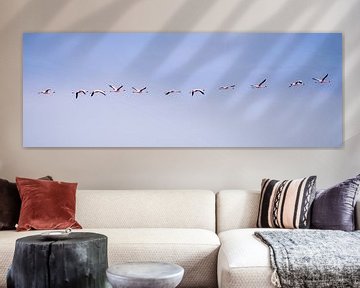 Flamants roses en vol sur Leo van Maanen