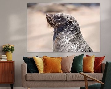 young fur seal by Leo van Maanen