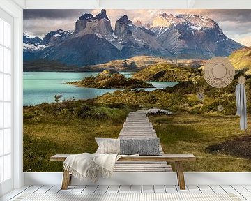 Patagonia - The way by Stefan Schäfer