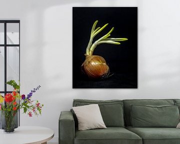 Still life with onion