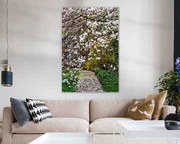 tuinpad bedekt met bloesem van magnolia
