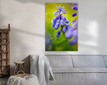 blauwe druif bloem tegen groene achtergrond in art stijl van Margriet Hulsker