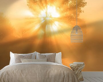 Sunbeams illuminate a tree during a beautiful sunrise in the mist by Bas Meelker