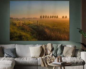Betuwe-Landschaft von Moetwil en van Dijk - Fotografie