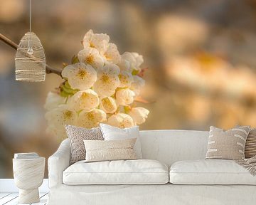 Blossom by Moetwil en van Dijk - Fotografie