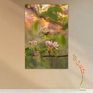 Fleurir sur Moetwil en van Dijk - Fotografie