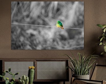 Little green bird by Jeroen de Weerd
