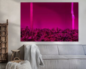 Vertical Agriculture by Bram Becks
