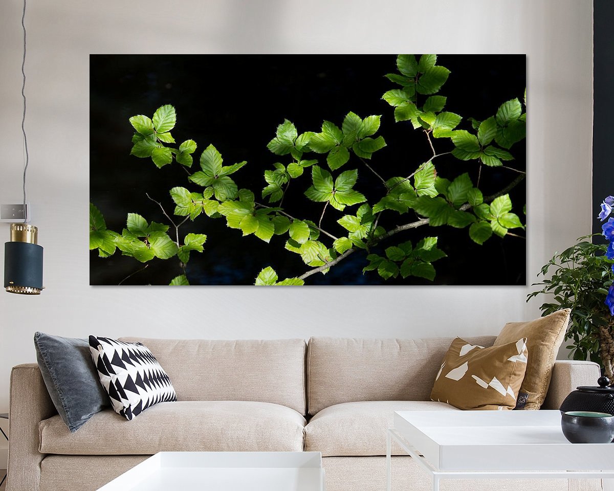 Raumvorschau