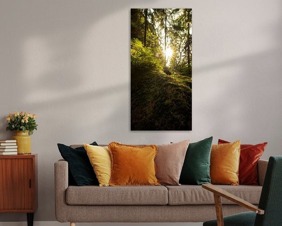 Aperçu de la chambre